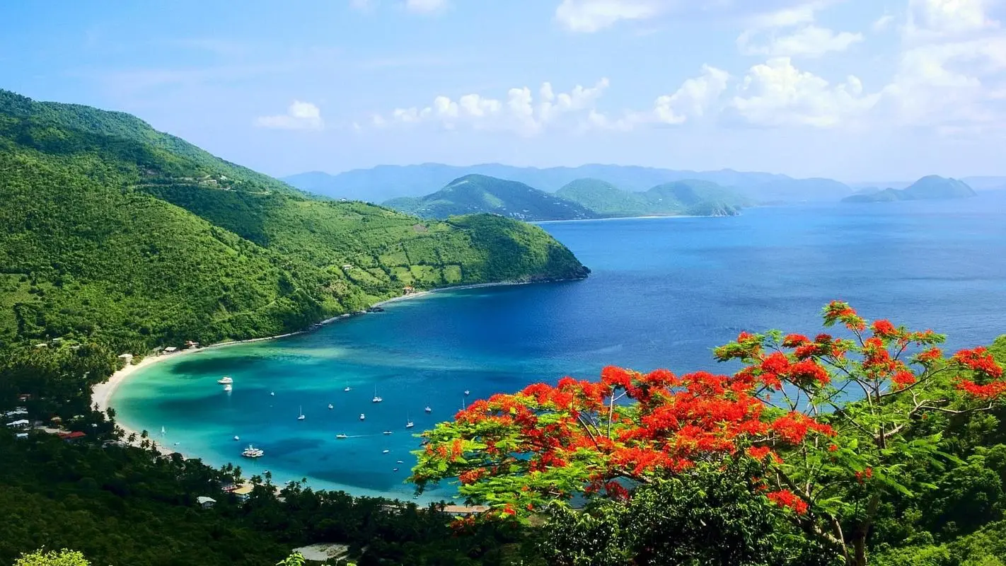 高端自动化